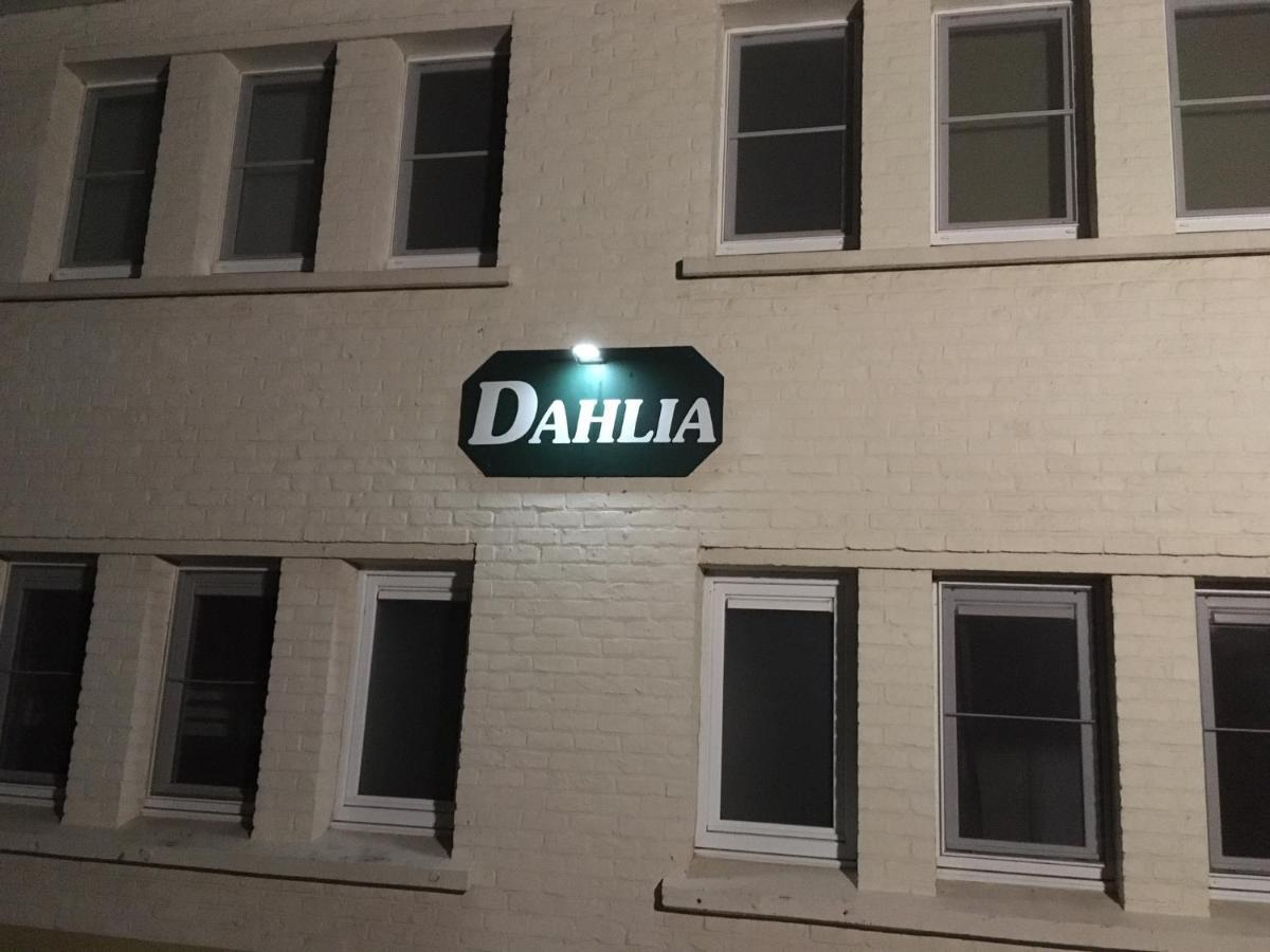 Dahlia 107 - Zonnig En Volledig Uitgerust Appartement 德哈恩 外观 照片